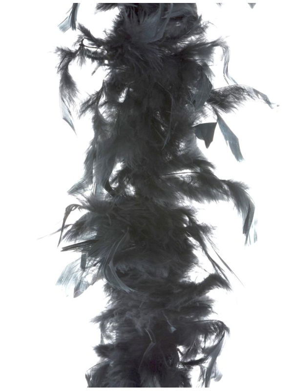 Boa plumes 2 m - 45 g pas cher noir