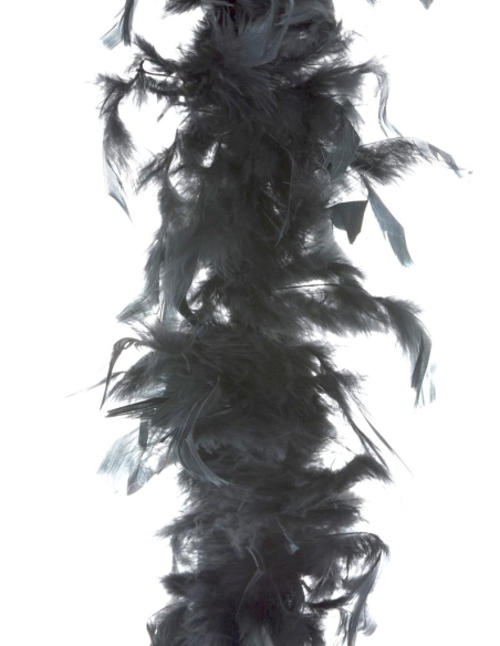 Boa plumes 2 m - 45 g pas cher noir