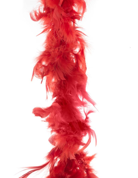 Boa plumes 2 m - 45 g pas cher rouge