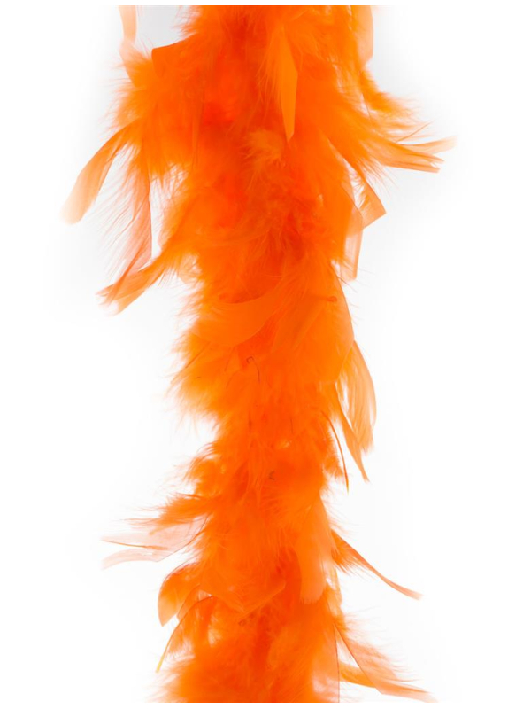 Boa plumes 2 m - 45 g pas cher orange