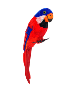 Perroquet en plumes rouge et bleu - La touche exotique parfaite pour vos décorations pirates ! 2