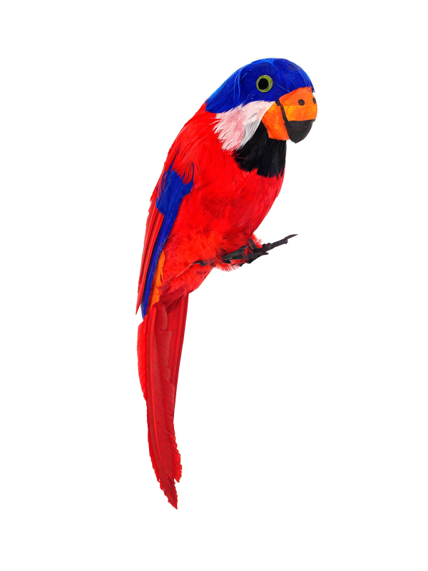 Perroquet en plumes rouge et bleu - La touche exotique parfaite pour vos décorations pirates !