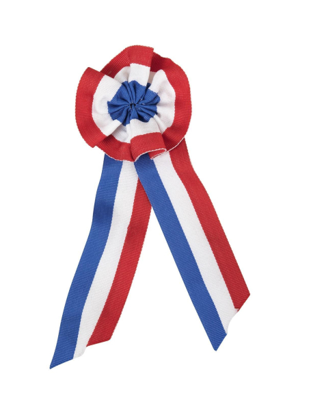 Cocarde - bleu, blanc, rouge - France