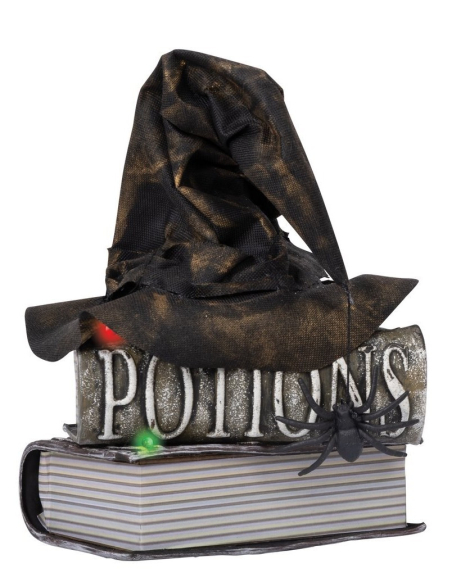 Chapeau de Sorcière Animé sur Livres Grimoires - Décoration Halloween