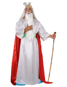 Costume de Druide Gaulois - Sagesse et Magie Celtique
