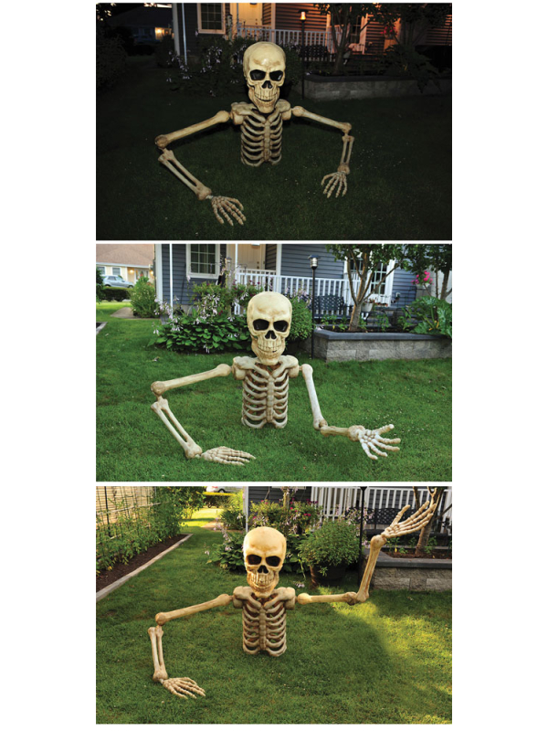 Squelette Halloween Sortant de Terre : 1,2m de Frissons Garantis