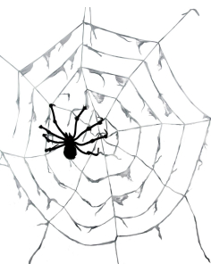 Toile d'araignée géante - Ø 2,90 m avec araignée noire