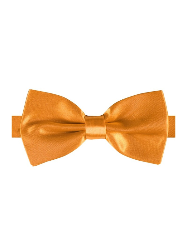 Nœud Papillon Luxe en Satin Brillant - Couleurs...