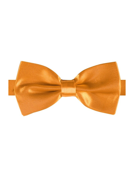 Nœud Papillon Luxe en Satin Brillant - Couleurs au choix