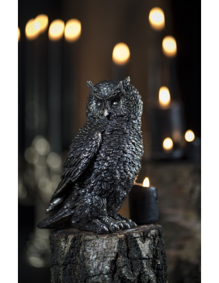 Statue Chouette Bronze : Mystère et d'Élégance pour Votre Déco Halloween