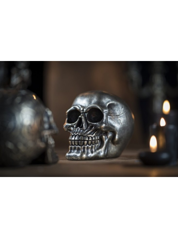 Crâne Résine Bronze : Une Pièce Maîtresse pour votre Décoration de Halloween