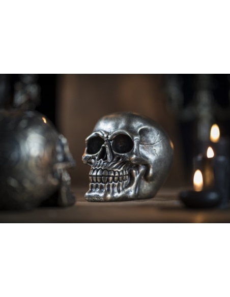 Crâne Résine Bronze : Une Pièce Maîtresse pour votre Décoration de Halloween