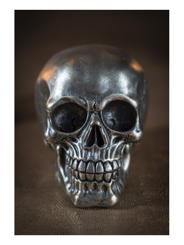 Crâne Résine Bronze : Une Pièce Maîtresse pour votre Décoration de Halloween