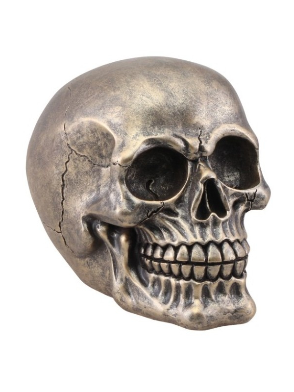 Crâne Résine Bronze : Une Pièce Maîtresse pour votre Décoration de Halloween