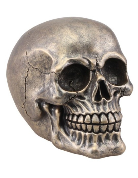 Crâne Résine Bronze : Une Pièce Maîtresse pour votre Décoration de Halloween