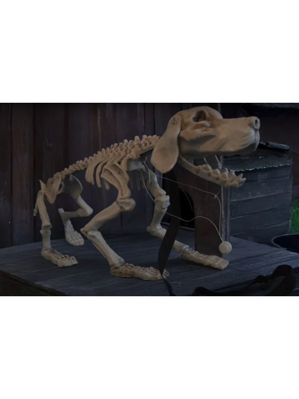 Squelette de Chien Animé : Décoration Halloween