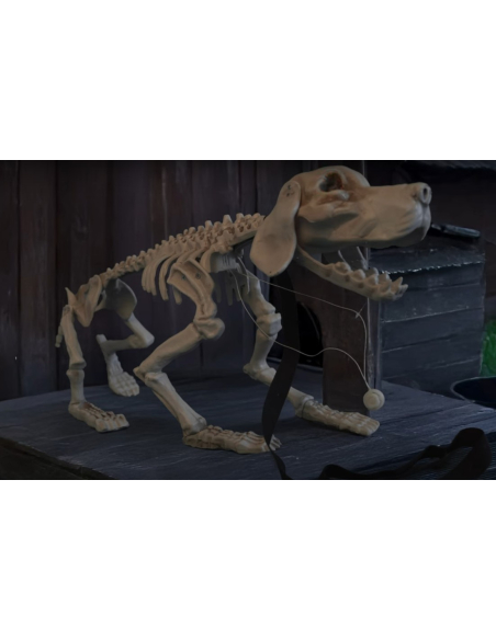 Squelette de Chien Animé : Décoration Halloween
