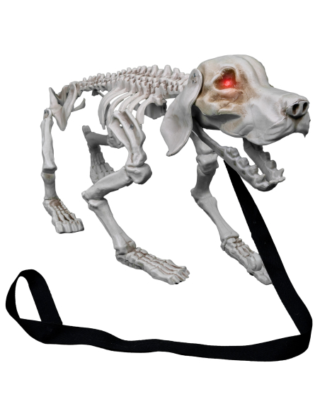 Squelette de Chien Animé : Décoration Halloween