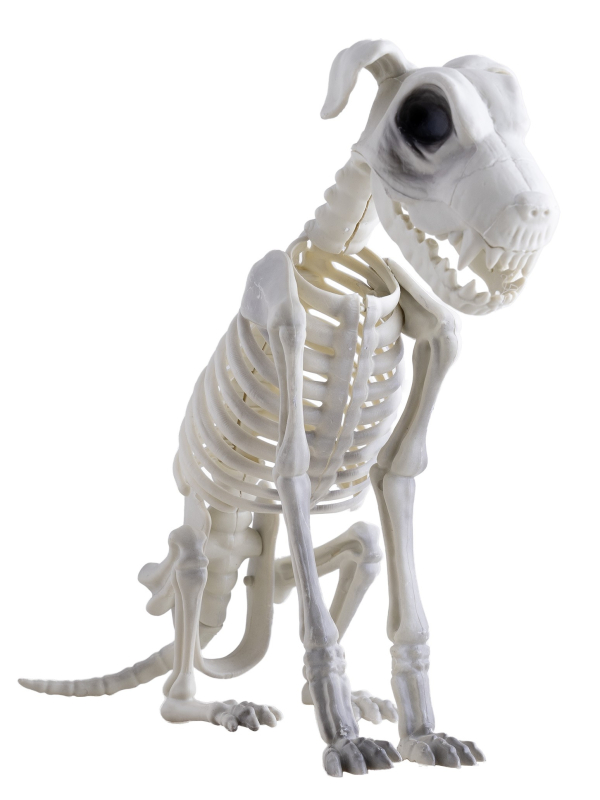 Squelette de Chien Zombie: Une Décoration Halloween Qui Fait Sensation !