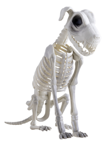 Squelette de Chien Zombie: Une Décoration Halloween Qui Fait Sensation !