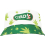 Bob CBD Feuilles de Cannabis - Accessoire Humoristique pour Festivals et Soirées