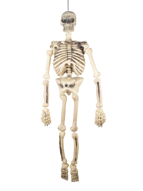 Squelette articulé 150 cm à suspendre - Décoration Halloween effrayante