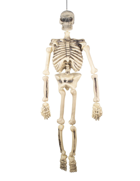 Squelette articulé 150 cm à suspendre - Décoration Halloween effrayante