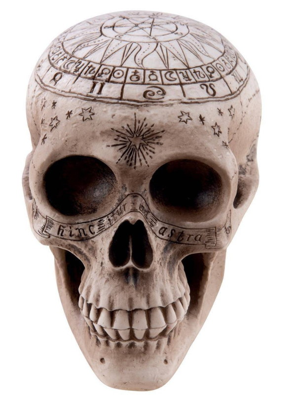 Crâne Astrologique Mystique : Décoration Halloween