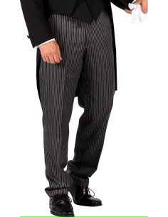 Pantalon Rayé Gris Homme typique du 19e siècle