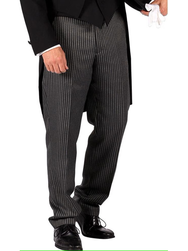 Pantalon Rayé Gris Homme typique du 19e siècle