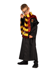Déguisement Harry Potter Enfant : Accessoires Magiques pour Halloween et Anniversaires 2