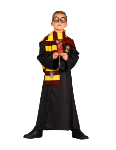 Déguisement Harry Potter Enfant : Accessoires Magiques pour Halloween et Anniversaires