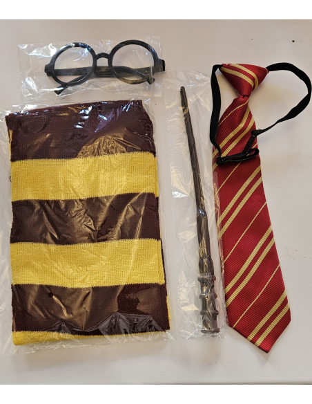 Déguisement Harry Potter Enfant : Accessoires Magiques pour Halloween et Anniversaires