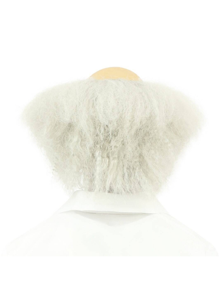 Perruque Savant Fou Homme - Déguisement Halloween & Carnaval