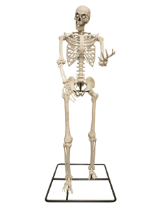 Squelette Titan 318 cm avec Yeux Lumineux – Décoration Halloween Géante