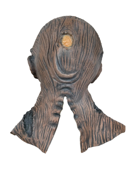 Masque Rotting Jason – Horreur Putréfiée en Latex