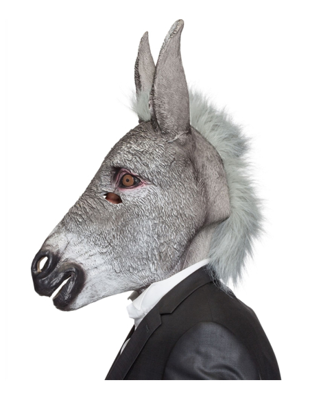 Masque d’Âne Réaliste Adulte avec Poils – Latex Souple