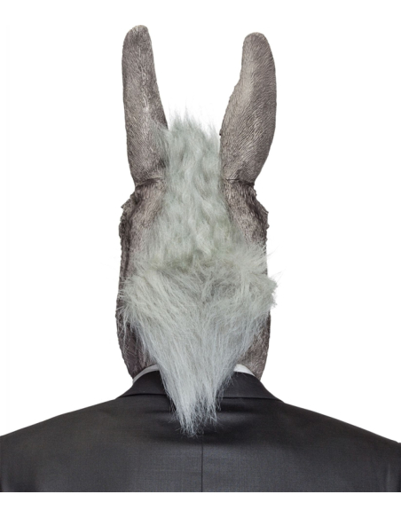 Masque d’Âne Réaliste Adulte avec Poils – Latex Souple