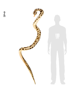 Serpent Tissu 2 m – Accessoire Réaliste pour Halloween et Déguisement 2