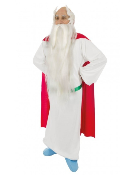Set Perruque + Barbe Panoramix™ - Astérix® - Transformez-vous en druide mythique !