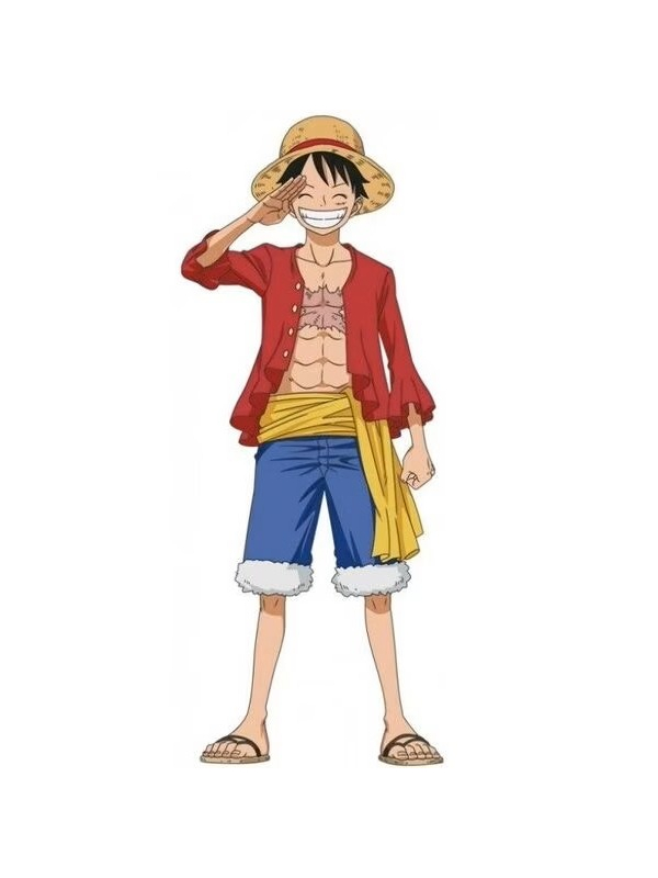 Déguisement adulte Luffy – One Piece® – Costume 4 pièces officiel (S à XL)