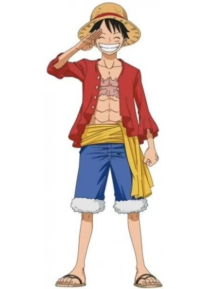 Déguisement adulte Luffy – One Piece® – Costume 4 pièces officiel (S à XL)