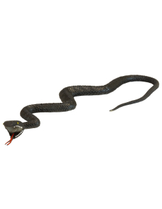 Serpent noir réaliste 75 cm – Accessoire terrifiant pour Halloween, costumes & décors