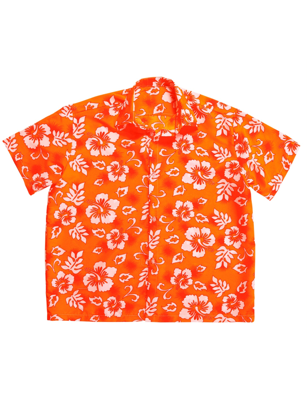 Chemise Hawaïenne Homme Humoristique - Imprimé 3D Funky, Manches Courtes - Pour Déguisement, Plage, Fête Décontractée