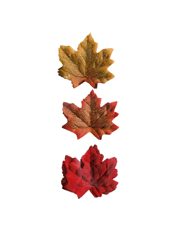 Lot de 36 feuilles d’automne décoratives – Déco DIY et loisirs créatifs