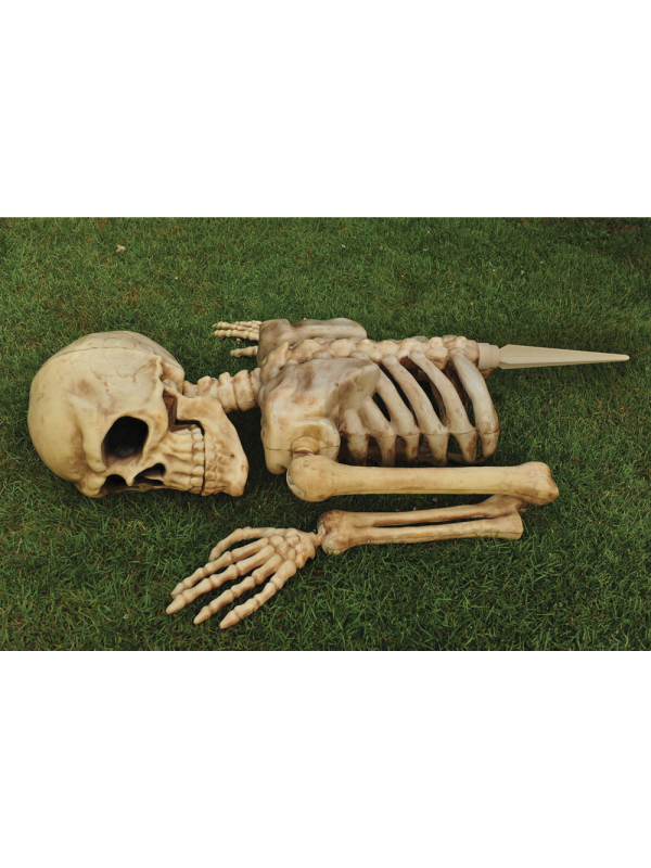 Squelette Géant Halloween Sortant de Terre : 1,2m de Frissons Garantis