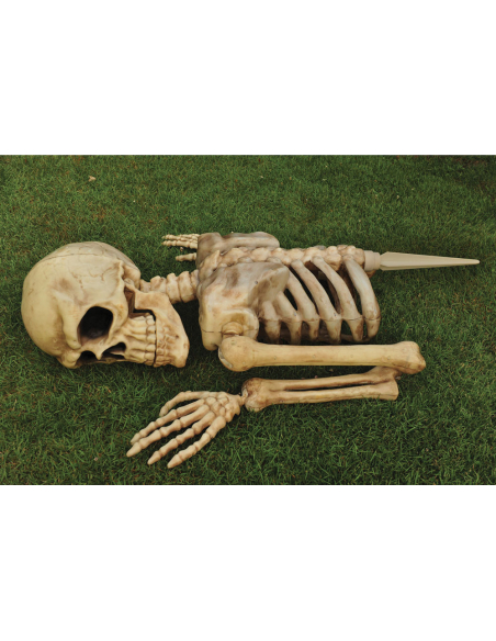 Squelette Géant Halloween Sortant de Terre : 1,2m de Frissons Garantis