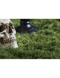 Chemin de table effet mousse verte 30 cm x 1 m – Décoration Halloween & mariage champêtre
