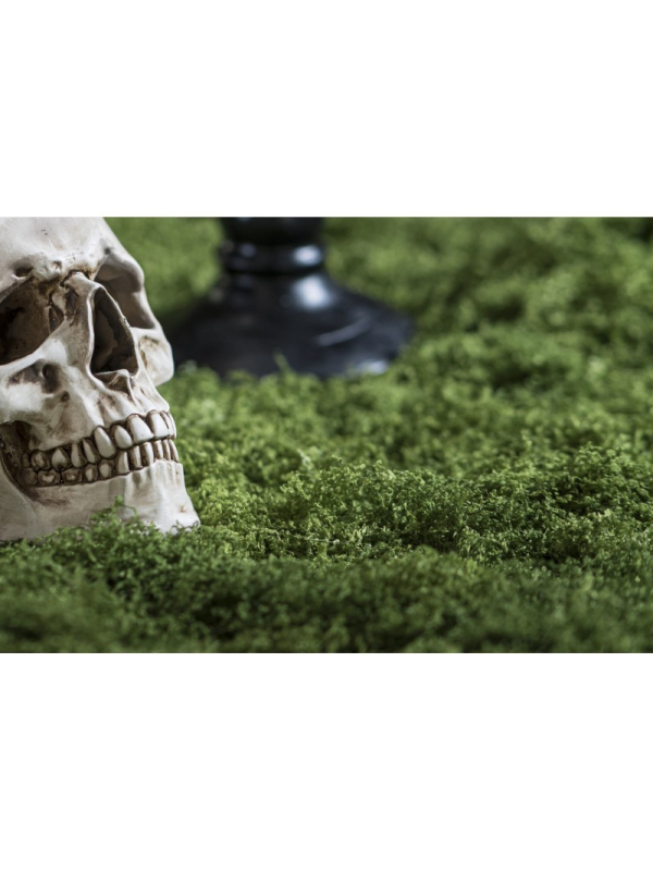 Chemin de table effet mousse verte 30 cm x 1 m – Décoration Halloween & mariage champêtre