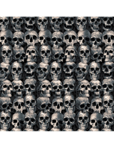 Décoration Murale Géante Têtes de Mort 1,20 m x 6 m – Effet Ossuaire XXL 2